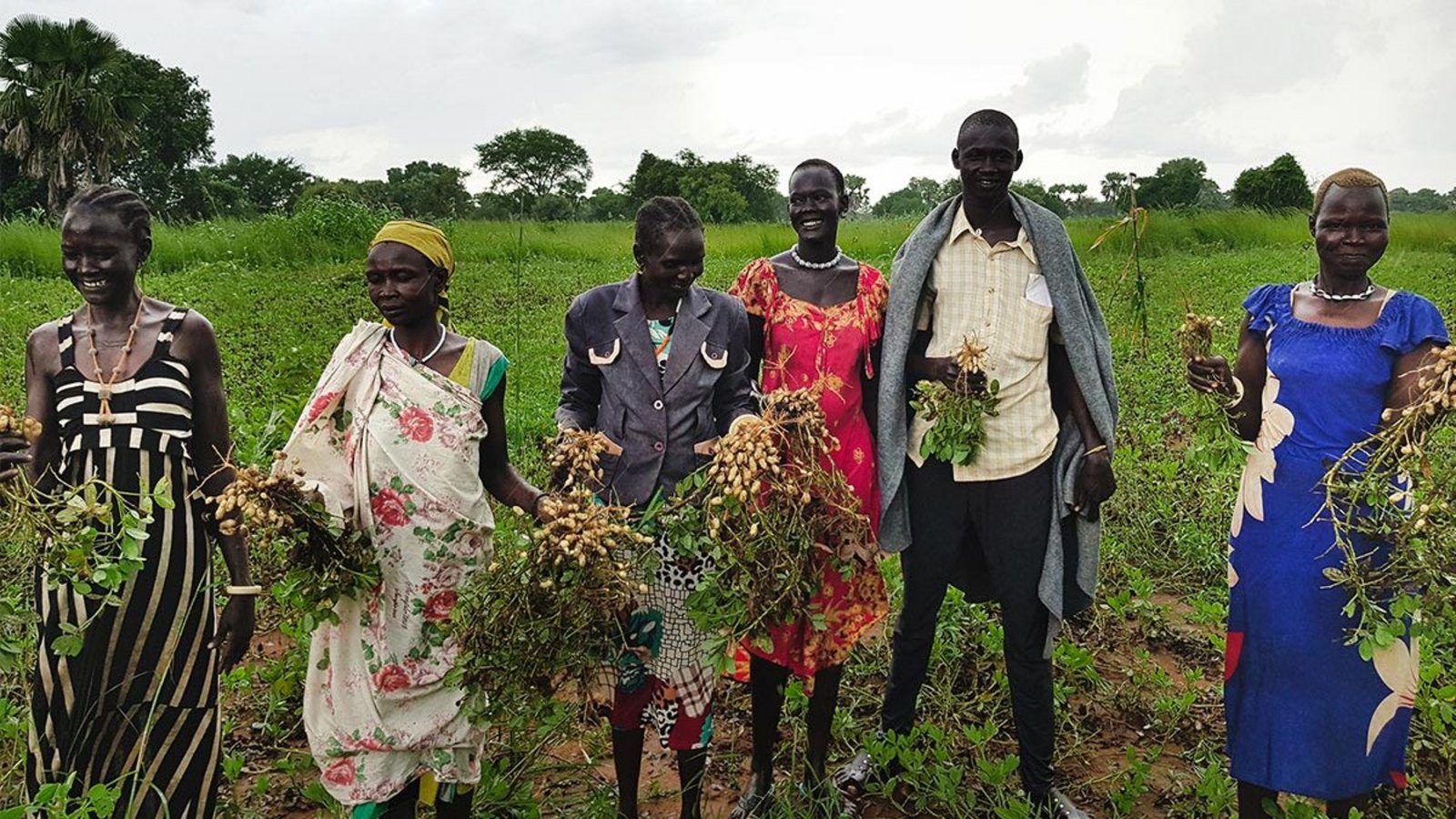 Fünf Frauen und ein Mann stehen in einem Erdnussfeld im Südsudan