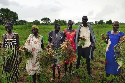 Fünf Frauen und ein Mann stehen in einem Erdnussfeld im Südsudan