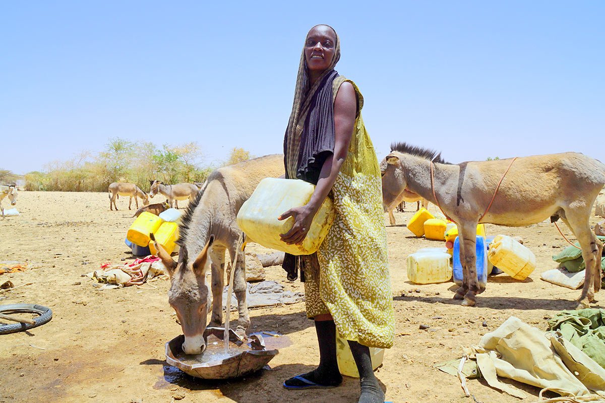 40 Jahre Hilfe zur Selbsthilfe: Wasserversorgung im Tschad