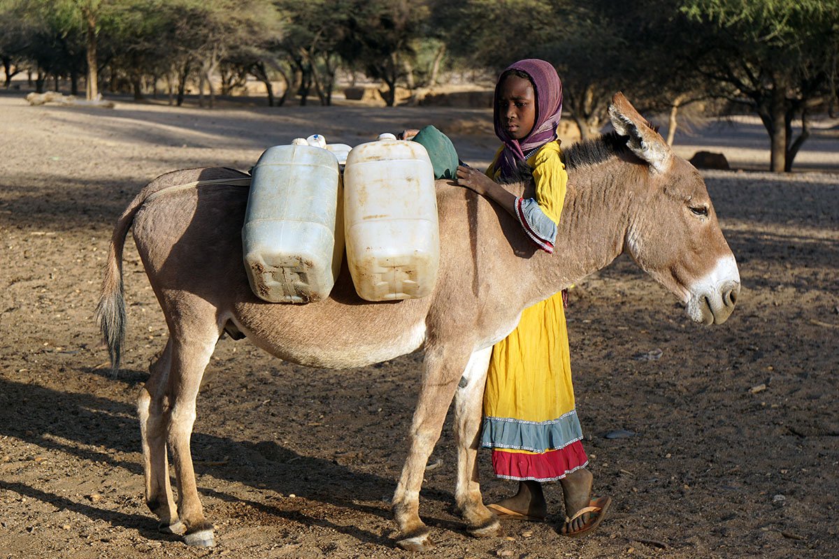 Ein tschadisches Mädchen holt mithilfe eines Esels Trinkwasser